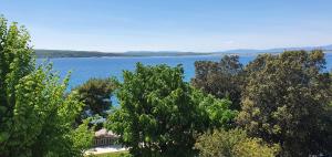 a view of a large body of water with trees at Apartment Noa in Crikvenica