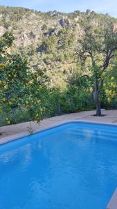 a blue swimming pool in front of a mountain at Ca Na Menga in Sóller