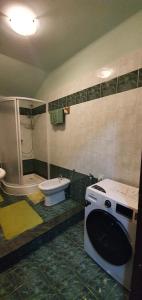 a bathroom with a shower and a toilet and a sink at Apartment Noa in Crikvenica +8 photos