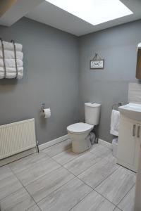 La salle de bains est pourvue de toilettes et d'un lavabo. dans l'établissement VIP Church Loft Apartment, à Portadown
