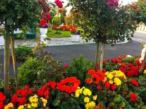 a garden filled with colorful flowers in a street at Bruckless Rest - Fine Country Living in Milltown