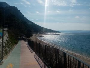 Příroda nedaleko apartmánu