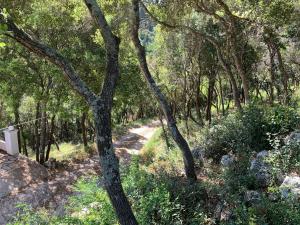 Zahrada ubytování Villa Pyrgos
