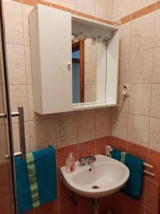 Koupelna v ubytování Apartmani Tatjana + 20 fotografií