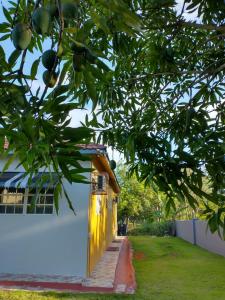 Una casa amarilla con un árbol delante. en Ultimate Freedom Bed and Breakfast, en Santa Cruz