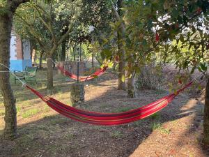A garden outside Agriturismo Le Biricoccole