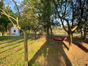 A garden outside Agriturismo Le Biricoccole