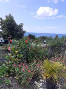 un jardin avec des fleurs roses et l'océan en arrière-plan dans l'établissement Bikamado, à Deshaies
