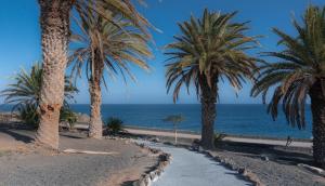 un sendero con palmeras en la playa en Apartamento Norma 8 Playa Roca, en Costa Teguise