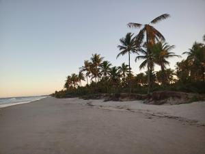 a sandy beach with palm trees and the ocean at Casa temporada na praia Joia do Atlântico - Ilhéus - Ba in Ilhéus