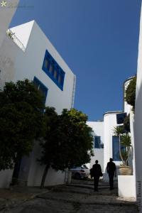 Galeriebild der Unterkunft La Chambre Verte in Sidi Bou Saïd