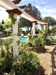 The swimming pool at or close to La cactée singulière