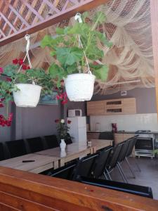 a table with two potted plants hanging from a ceiling at Casa Martin in Sulina