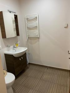 a bathroom with a sink and a toilet and a mirror at Guest House Atostogana in Druskininkai