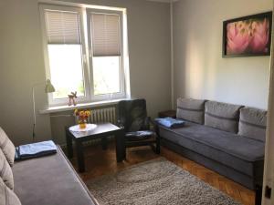 uma sala de estar com um sofá e uma mesa em Apartament Roma Gizycko em Giżycko