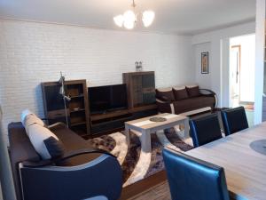 - un salon avec un canapé et une table dans l'établissement Thermal apartman, à Hajdúszoboszló