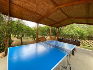 Stolný tenis v ubytovaní Casa Rural Pili Mallorca alebo v jeho okolí