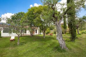 un gruppo di alberi e una panchina in un cortile di Artemisia negli ulivi b&b a Magliano in Toscana