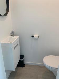 een witte badkamer met een toilet en een wastafel bij Gods Heide in Hasselt