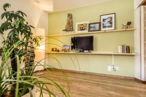 uma sala de estar com uma televisão e um vaso de plantas em Chasa Curtins em Valchava