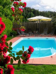 Bazén v ubytování Ferienwohnung mit Pool in Wörthersee Nähe nebo v jeho okolí