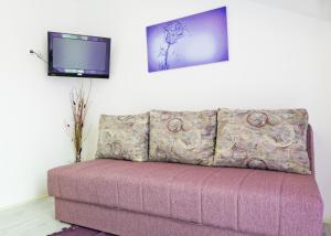 TV a/nebo společenská místnost v ubytování Apartments Maja