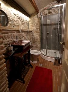a bathroom with a sink and a shower and a toilet at Le Petit Secret, Korce, Albania in Korçë