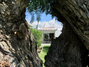 Vonkajšia záhrada v ubytovaní Casa Sur