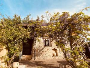 Fotografie z fotogalerie ubytování VIGNA VECCHIA v destinaci Patù