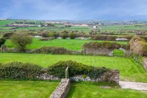 a view of a green field with a stone wall at Sunville Bed And Breakfast in Ballycotton