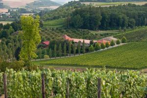 Imagen de la galería de BENZ Weingut & Weinhotel, en Lauda-Königshofen