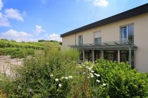 uma casa com um jardim em frente em BENZ Weingut & Weinhotel em Lauda-Königshofen