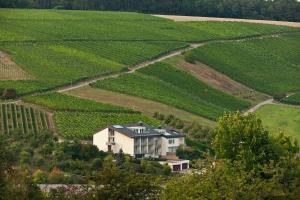 Majoituspaikan BENZ Weingut & Weinhotel kuva ylhäältä päin