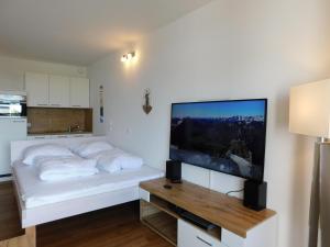 a bedroom with a bed and a flat screen tv at Optimist in Wendtorf
