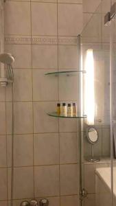 a shower with a glass shelf in a bathroom at Tübingen Denzenberg / MIT GARTEN / FREE Parking in Tübingen