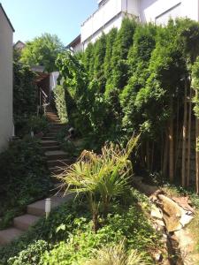 a garden with stairs and plants in front of a building at Tübingen Denzenberg / MIT GARTEN / FREE Parking in Tübingen