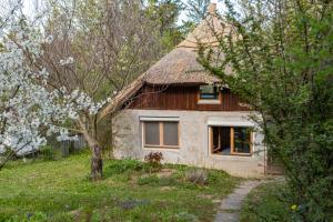 een klein huis met een rieten dak in een veld bij Zöld Sziget Vendégház in Balatonkenese