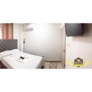 TV a/nebo společenská místnost v ubytování Hotel ibiza Central