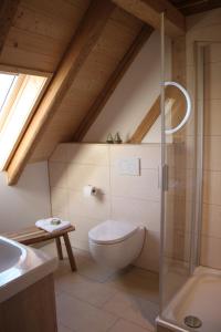 a bathroom with a toilet and a glass shower at Ferienwohnungen Zwergbachhof in Haunsheim