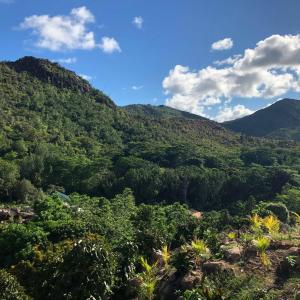 uma vista para as montanhas a partir do trilho em Ocean View Apartment em Praslin