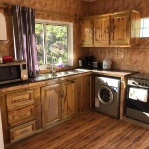 a kitchen with wooden cabinets and a sink and a dishwasher at Ocean View Apartment in Anse Possession