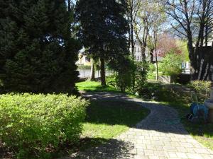 a path in a park with trees and grass at Wulfenia Apartments in Hermagor