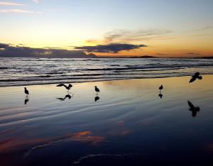 Příroda nedaleko apartmánu + 3 fotografie