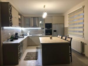 a kitchen with a large island in the middle at Apartmani Zlatna truba in Arilje