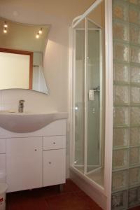 La salle de bains est pourvue d'un lavabo et d'une douche en verre. dans l'établissement Estudios Montinhos Da Luz by Seewest, à Luz
