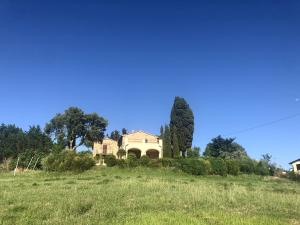 a house on a hill in a field at Podere Morena with sea view, private terrace by ToscanaTour Greg in Guardistallo