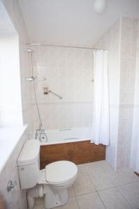 a bathroom with a toilet and a bath tub at Kilkee Holiday Homes Ground Floor in Kilkee