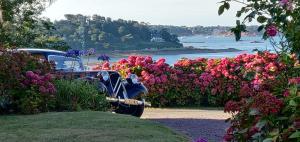 Paesaggio naturale nelle vicinanze del bed & breakfast