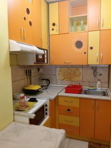 Kuchyň nebo kuchyňský kout v ubytování Apartment Adela