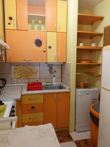 Kuchyň nebo kuchyňský kout v ubytování Apartment Adela